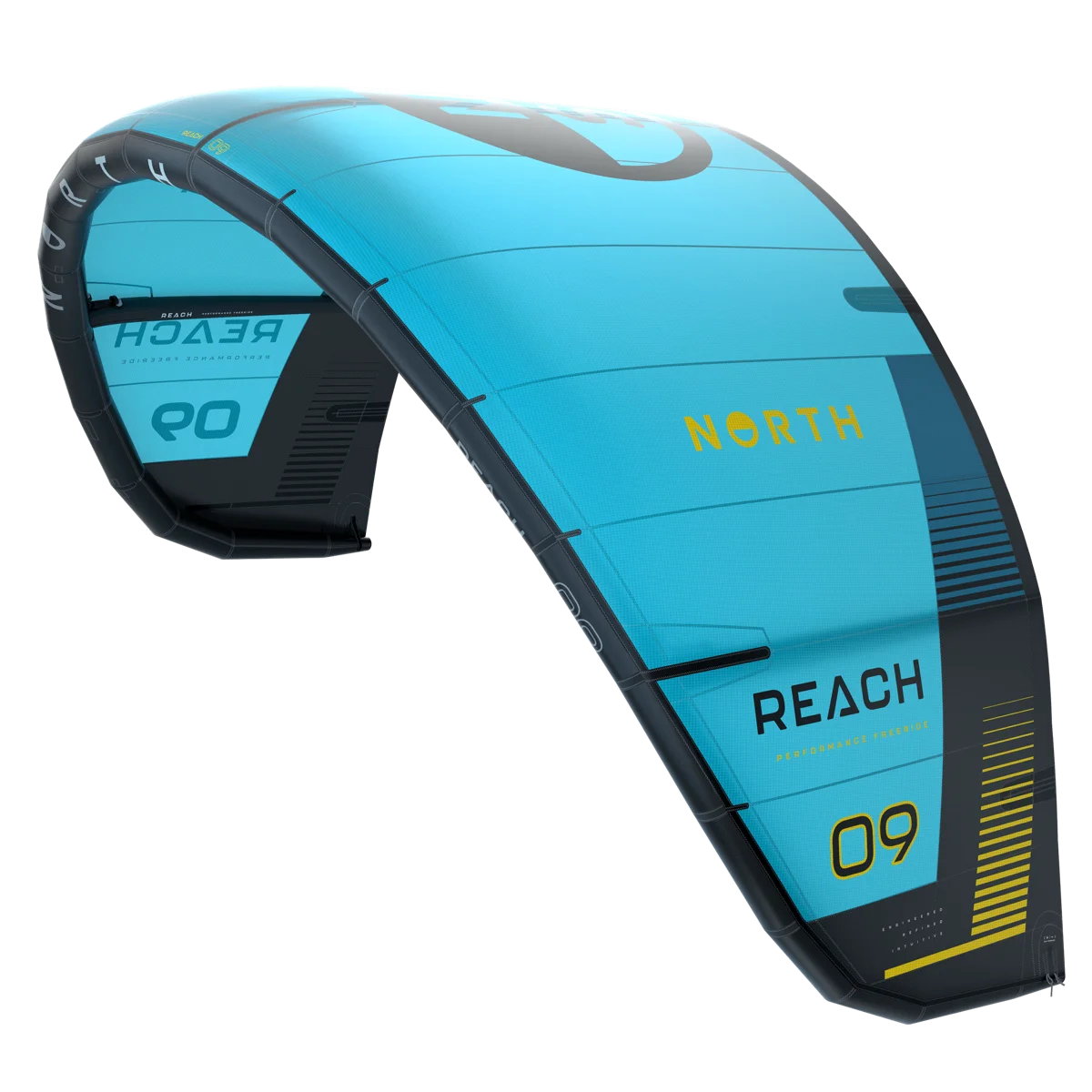 Reach Kite